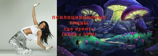 мяу мяу мука Бородино