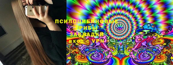 ешки Бронницы