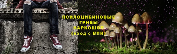 мяу мяу мука Бородино