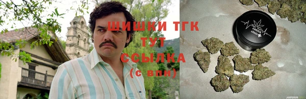 мяу мяу мука Бородино